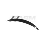 Eleron Carbon Audi A5/S5/RS5 B9 Spoiler Portbagaj 2017+